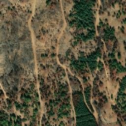 Satellite imagery of Mitspe Liran, IL