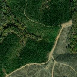Satellite imagery of Hillabee Ridge, US