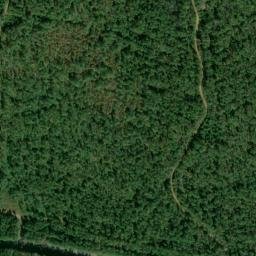 Satellite imagery of Turtle Point, US