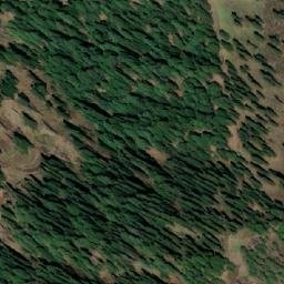 Satellite imagery of Reoshir, IN