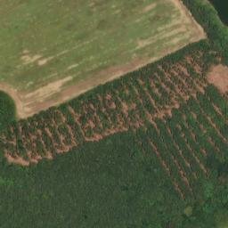 Satellite imagery of McGowins Bluff, US