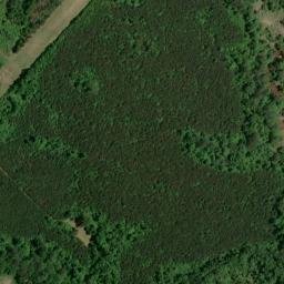 Satellite imagery of Steeles Bluff, US