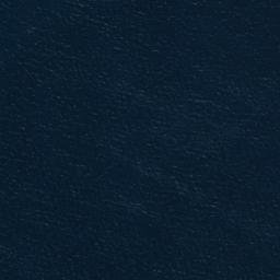 Satellite imagery of Shioya-zaki, JP