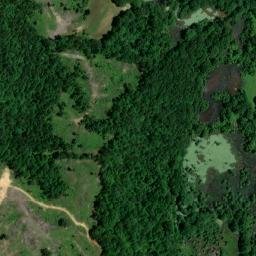 Satellite imagery of Whites Bluff, US