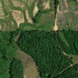 Satellite imagery of Whites Bluff, US