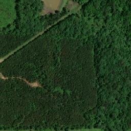 Satellite imagery of Whites Bluff, US