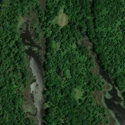 Satellite imagery of Wilson Bluff, US