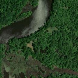 Satellite imagery of Wilson Bluff, US