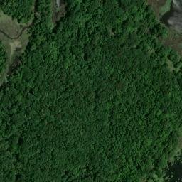 Satellite imagery of Wilson Bluff, US