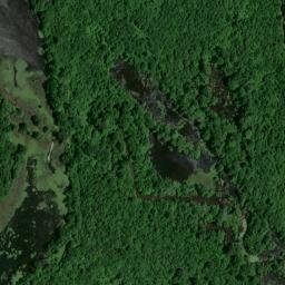 Satellite imagery of Wilson Bluff, US