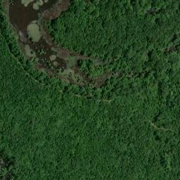 Satellite imagery of Wilson Bluff, US