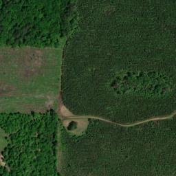 Satellite imagery of Logan Bluff, US