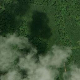 Satellite imagery of Cowart Number One Mine, US
