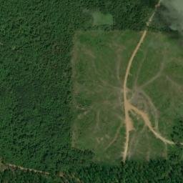 Satellite imagery of Cowart Number Two Mine, US