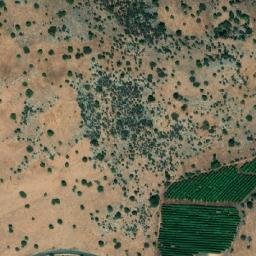 Satellite imagery of Miẕpor Ẕipporim Ha’Ammud, IL