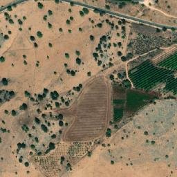 Satellite imagery of Miẕpor Ẕipporim Ha’Ammud, IL