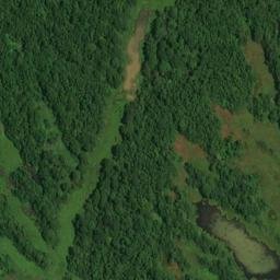Satellite imagery of Stave Bluff, US