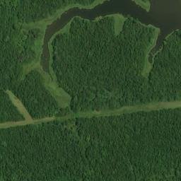 Satellite imagery of Finches Point, US