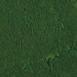 Satellite imagery of Standing Cypress Point, US