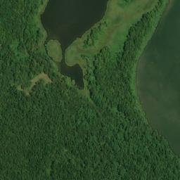 Satellite imagery of Standing Cypress Point, US