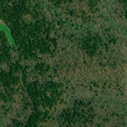 Satellite imagery of Williams Prospect, US