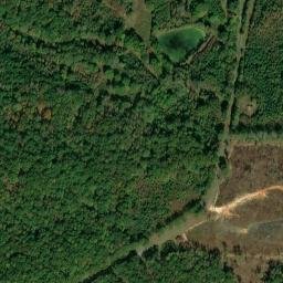 Satellite imagery of Thomas Mine, US