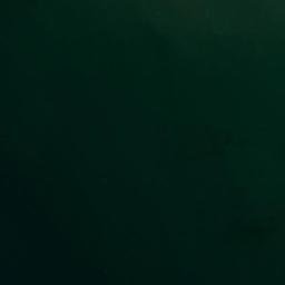 Satellite imagery of False Point, US