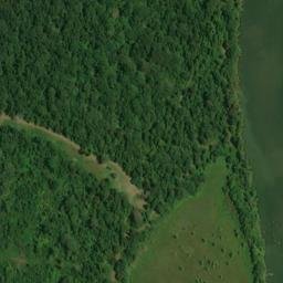 Satellite imagery of Jennings Ferry Point, US