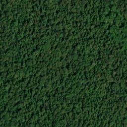 Satellite imagery of Choctaw Bluff, US