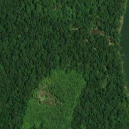Satellite imagery of Meltons Bluff, US