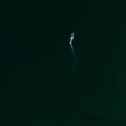 Satellite imagery of Point Medanos, US