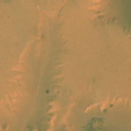 Satellite imagery of Kherabek en Naam, DZ