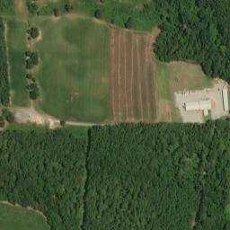 Satellite imagery of McAlpines Bluff, US