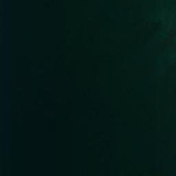 Satellite imagery of Swordfish Point, US
