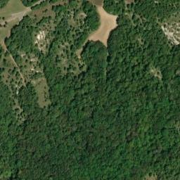 Satellite imagery of Wolf Bluff, US