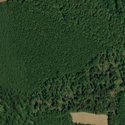 Satellite imagery of Wolf Bluff, US