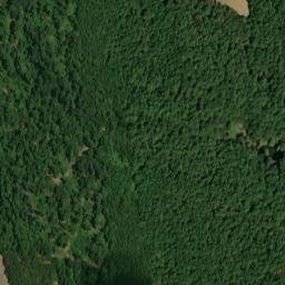 Satellite imagery of Wolf Bluff, US