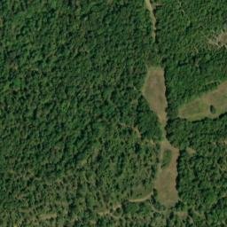 Satellite imagery of Wolf Bluff, US