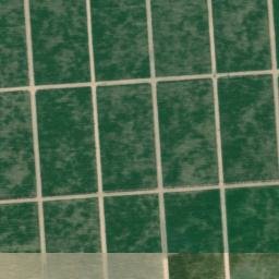 Satellite imagery of survey_point, MX
