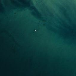 Satellite imagery of Point Loma, US