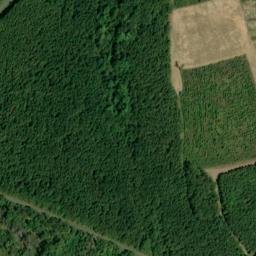 Satellite imagery of Braggs Bluff, US