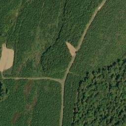 Satellite imagery of McIntyers Bluff, US
