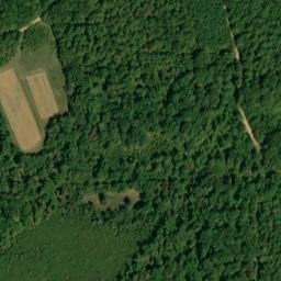 Satellite imagery of Myers Bluff, US