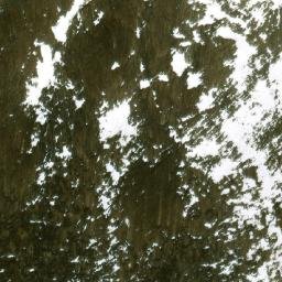 Satellite imagery of Nanzom, CN