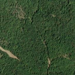 Satellite imagery of Buzzard Roost Bluff, US