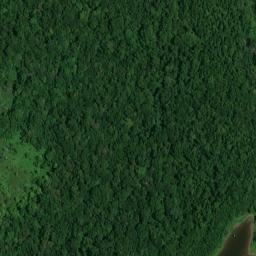 Satellite imagery of White Bluff, US