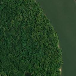 Satellite imagery of White Bluff, US