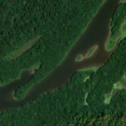 Satellite imagery of White Bluff, US