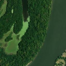 Satellite imagery of White Bluff, US