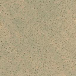 Satellite imagery of survey_point, MX